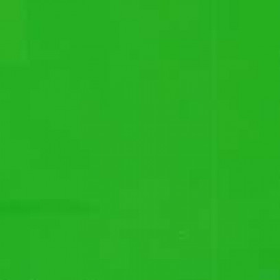 VPF глянцевый пластик на белом ПВХ 1,2х25 м арт. 66856047 зеленый